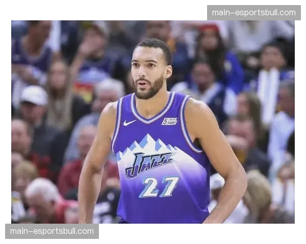 戈贝尔森林狼防守体系锚定价值 护筐覆盖率与防守篮板率支撑体系